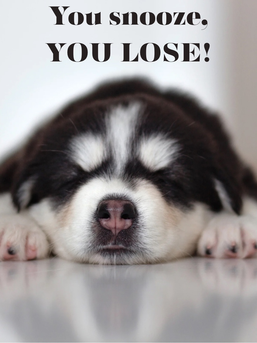 "You Snooze, You Lose!"